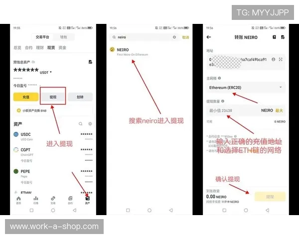 乐鱼娱乐平台充值提现流程详解确保资金安全与快速到账